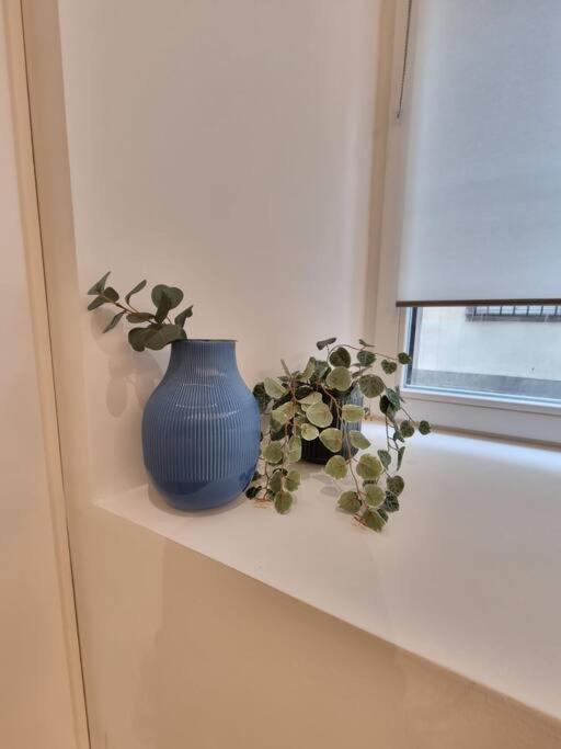 Les Appartements Hyper Centre Strasbourg Ngoại thất bức ảnh