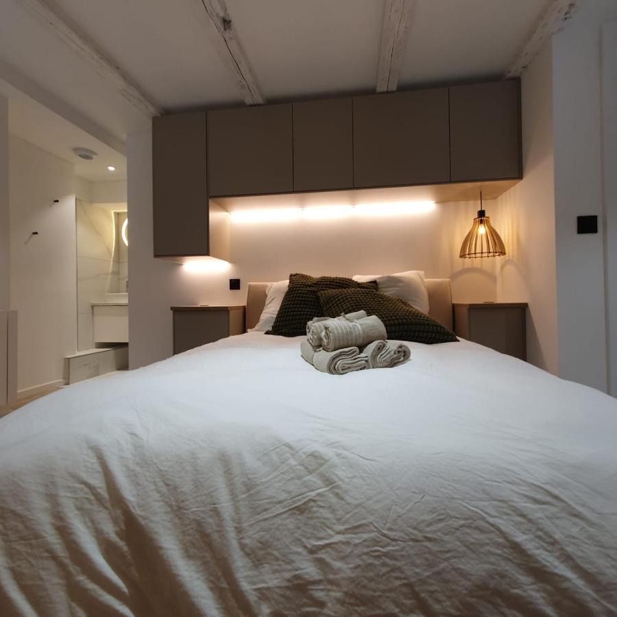 Les Appartements Hyper Centre Strasbourg Ngoại thất bức ảnh
