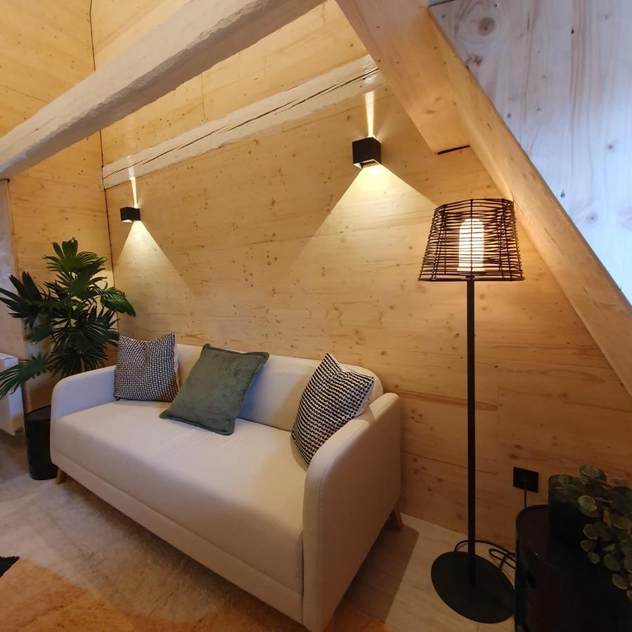 Les Appartements Hyper Centre Strasbourg Ngoại thất bức ảnh