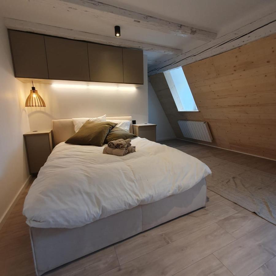 Les Appartements Hyper Centre Strasbourg Ngoại thất bức ảnh