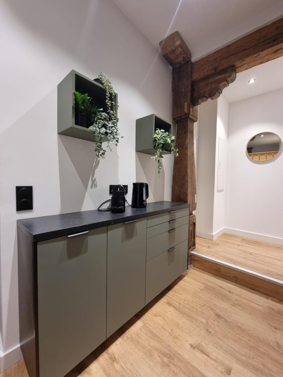 Les Appartements Hyper Centre Strasbourg Ngoại thất bức ảnh